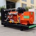 Custom Super Stummes 150 kW Natural Biogas Gasgenerator